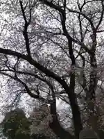 気比神社(福井県)