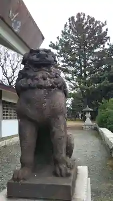 千葉縣護國神社の狛犬