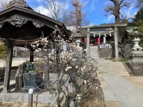 諏訪神社(東京都)