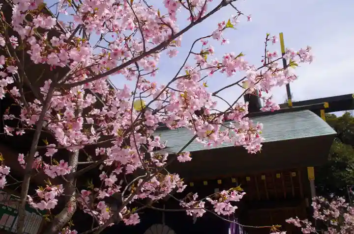 東京大神宮の自然