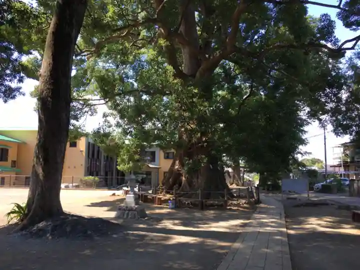 天地神社の自然