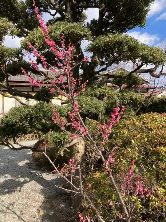 妙法寺(神奈川県)