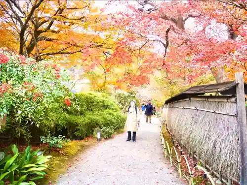 宝厳院(京都府)