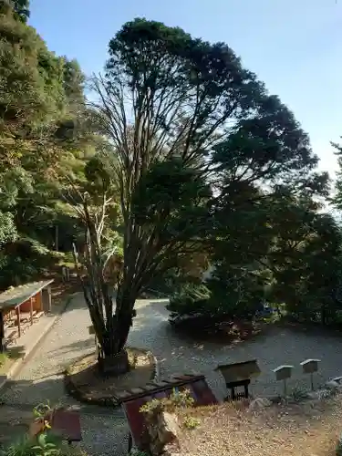 日龍峯寺(高澤観音)(美濃清水)(岐阜県)