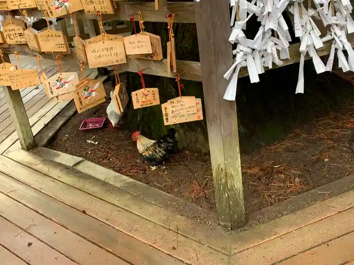 大崎八幡宮の動物