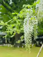 守りの神 藤基神社(新潟県)