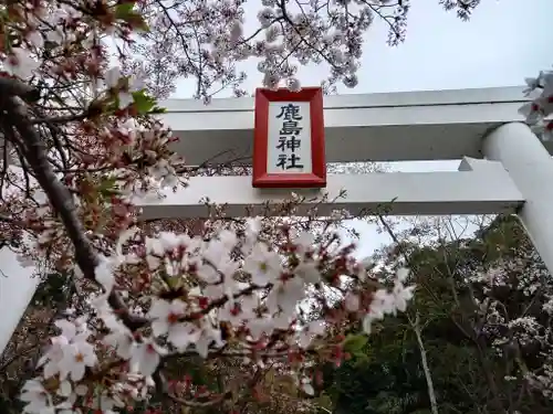 鹿島神社の鳥居