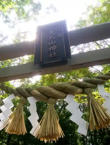 小樽天狗山神社の鳥居