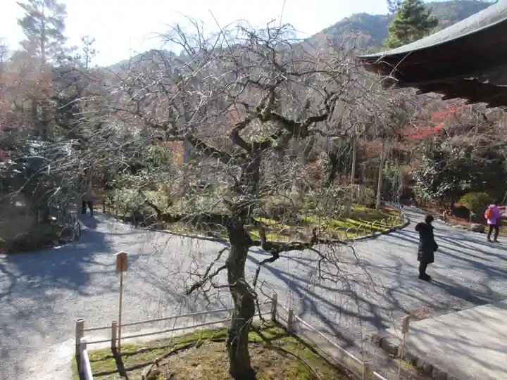 天龍寺(京都府)