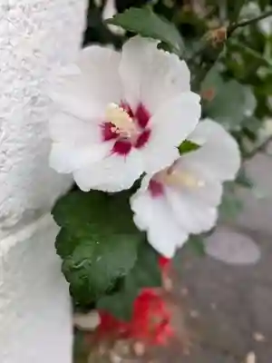 福寿院(東京都)