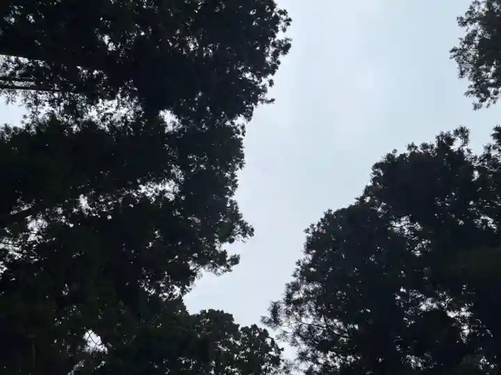 大宮温泉神社(栃木県)