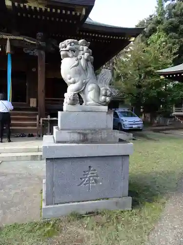 赤羽八幡神社の狛犬