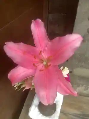 長久寺(愛知県)