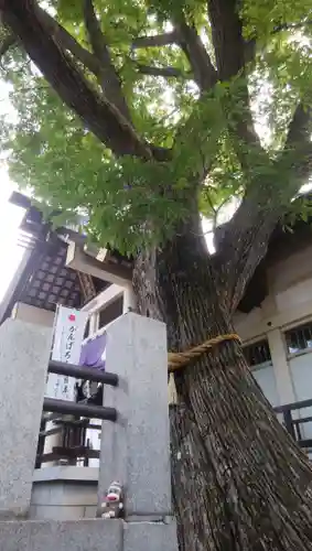 豊平神社の自然