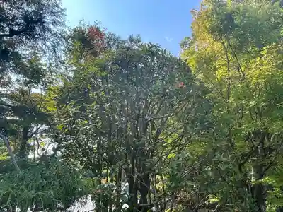 伊勢の国 四天王寺(三重県)