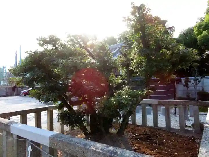 太閤山常泉寺の庭園