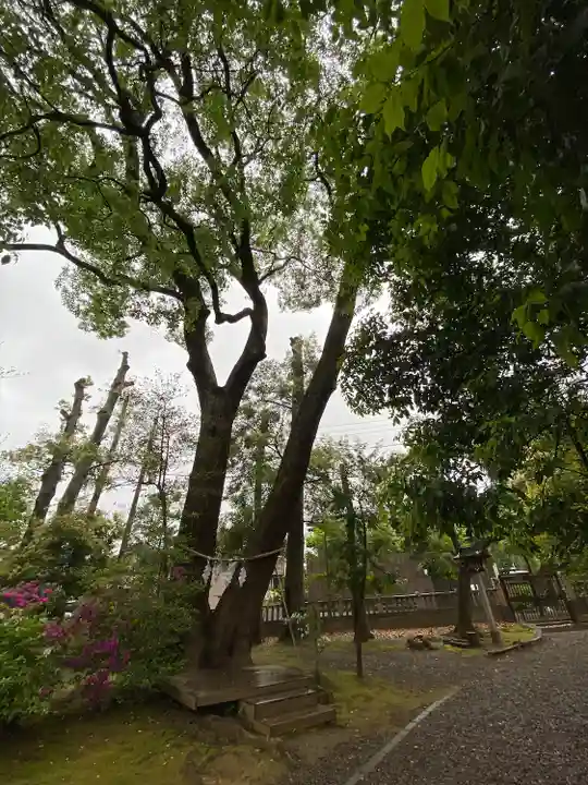 武蔵一宮氷川神社(埼玉県)