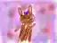 モカさんのプロフィール画像