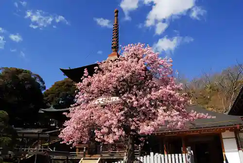 楽法寺（雨引観音）の建物その他