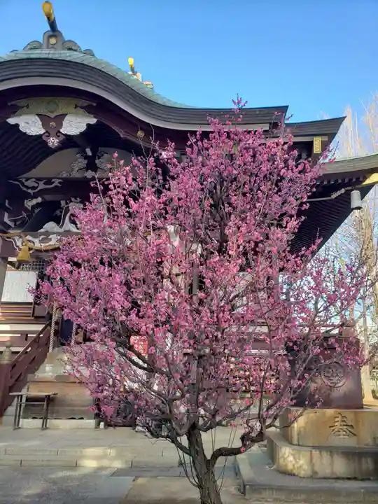 諏訪神社(東京都)
