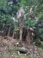 山神社(千葉県)