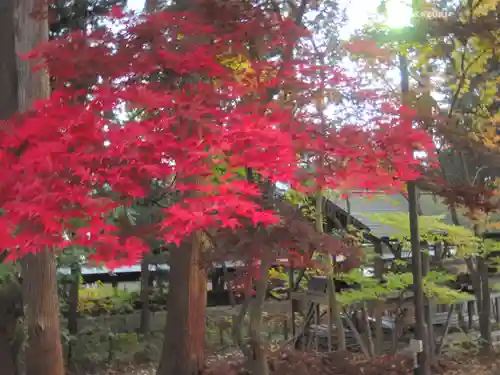 上杉神社(山形県)