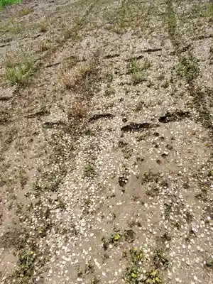 篠山神社(栃木県)
