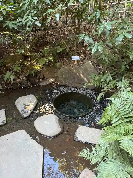 明治神宮(東京都)