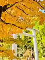 土津神社|こどもと出世の神さま(福島県)