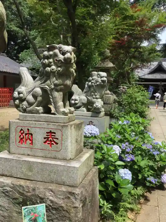 大宝八幡宮の狛犬