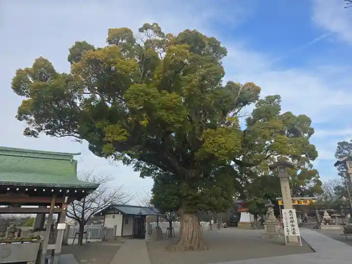 成田山大阪別院 明王院(大阪府)