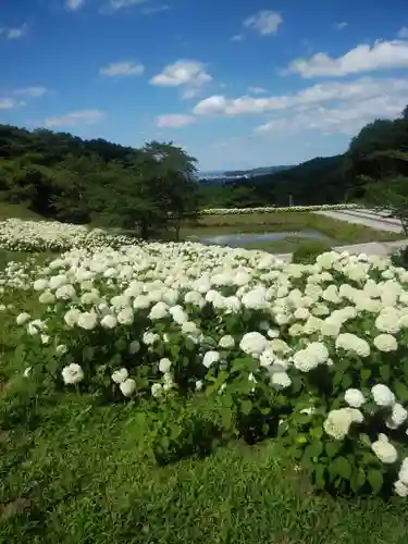 陽林寺(福島県)