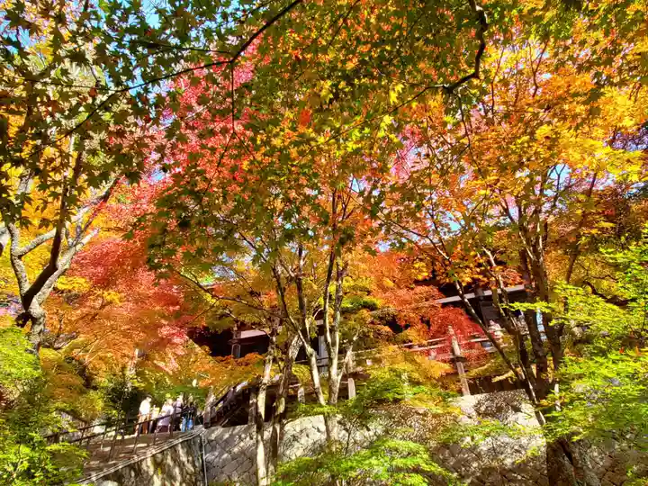 播州清水寺の自然