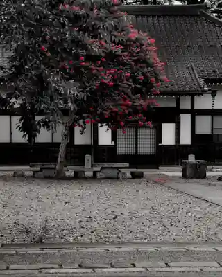 不動院(板橋不動尊)(茨城県)