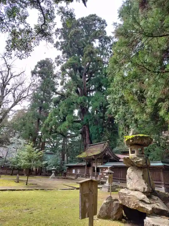 若狭姫神社(若狭彦神社下社)の{uncategorized: "未分類", other: "その他", undefined: "問題あり", building: "その他建物", grave: "お墓", sacred_gate: "鳥居", guardian: "狛犬", statue: "像", buddha: "仏像", history: "歴史", nature: "自然", garden: "庭園", animal: "動物", pagoda: "塔", temizu: "手水舎", mountain_gate: "山門・神門", sanctuary: "本殿・本堂", subordinate: "末社・摂社", art: "芸術", scenery: "景色", jizo: "地蔵", ema: "絵馬", goshuin: "御朱印", omikuji: "おみくじ", items: "授与品その他", amulet: "お守り", goshuincho: "御朱印帳", eats: "食事", festival: "お祭り", votive_dance: "神楽", shichigosan: "七五三参", wedding: "結婚式", experience: "体験その他", initially: "初詣", around: "周辺", anti_infection: "感染症対策"}