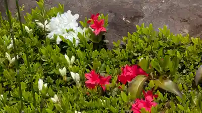 乘願院(京都府)