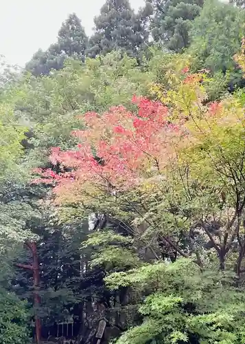 市房山神宮里宮神社(熊本県)