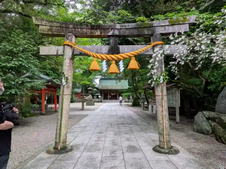 春日神社の{uncategorized: "未分類", other: "その他", undefined: "問題あり", building: "その他建物", grave: "お墓", sacred_gate: "鳥居", guardian: "狛犬", statue: "像", buddha: "仏像", history: "歴史", nature: "自然", garden: "庭園", animal: "動物", pagoda: "塔", temizu: "手水舎", mountain_gate: "山門・神門", sanctuary: "本殿・本堂", subordinate: "末社・摂社", art: "芸術", scenery: "景色", jizo: "地蔵", ema: "絵馬", goshuin: "御朱印", omikuji: "おみくじ", items: "授与品その他", amulet: "お守り", goshuincho: "御朱印帳", eats: "食事", festival: "お祭り", votive_dance: "神楽", shichigosan: "七五三参", wedding: "結婚式", experience: "体験その他", initially: "初詣", around: "周辺", anti_infection: "感染症対策"}