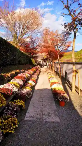 宝徳寺(群馬県)
