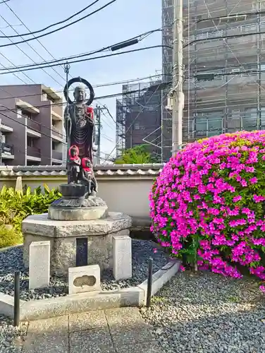 金乗院(目白不動尊)(東京都)