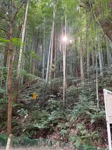 玉作湯神社(島根県)