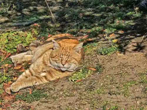 成田山新勝寺(千葉県)