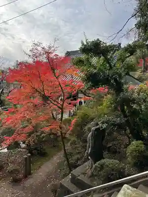 岩角山 岩角寺(福島県)