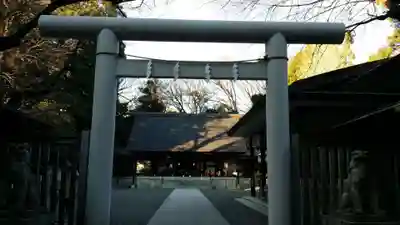乃木神社の鳥居