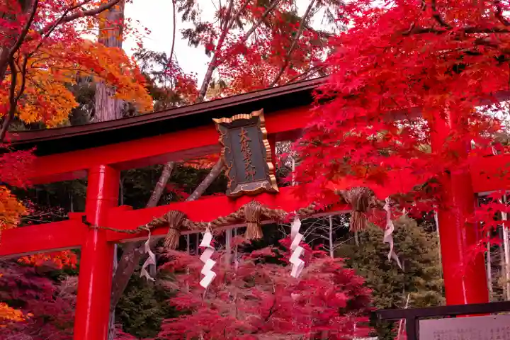 大原野神社(京都府)