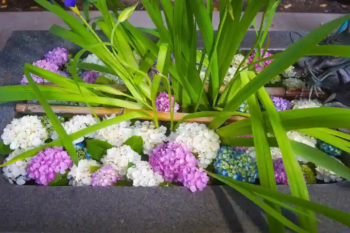 東海市熊野神社の手水舎