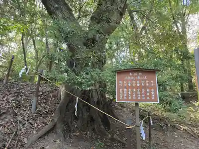 美具久留御魂神社(大阪府)