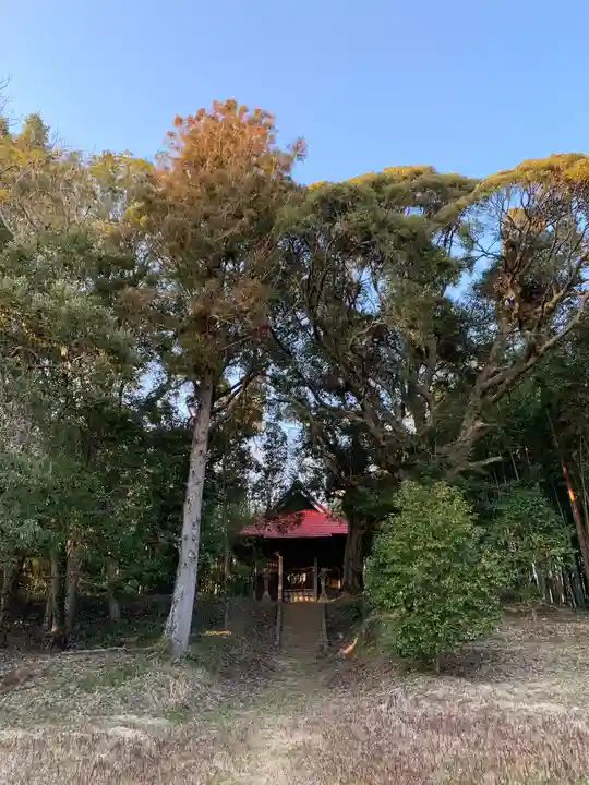 皇産霊神社の自然