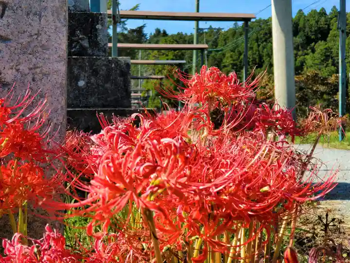 塩田八幡宮の自然