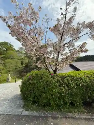 岡寺（龍蓋寺）(奈良県)